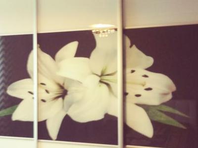 kwiaty namalowane na szafie